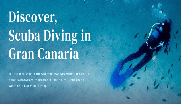 Blue Water Diving -  Puerto Rico